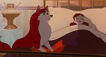 Image Balto