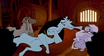 Image Balto