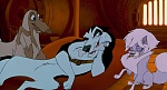Image Balto