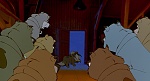 Image Balto
