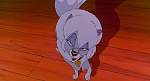 Image Balto