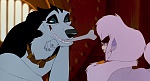 Image Balto