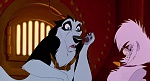 Image Balto