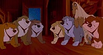 Image Balto