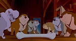 Image Balto
