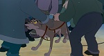 Image Balto