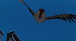 Image Balto