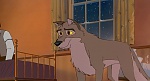 Image Balto