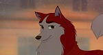 Image Balto