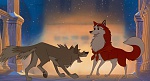 Image Balto