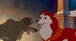 Image Balto