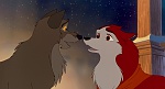 Image Balto