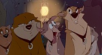 Image Balto