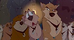 Image Balto