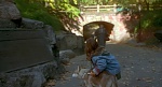 Image Balto