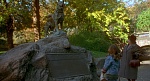 Image Balto