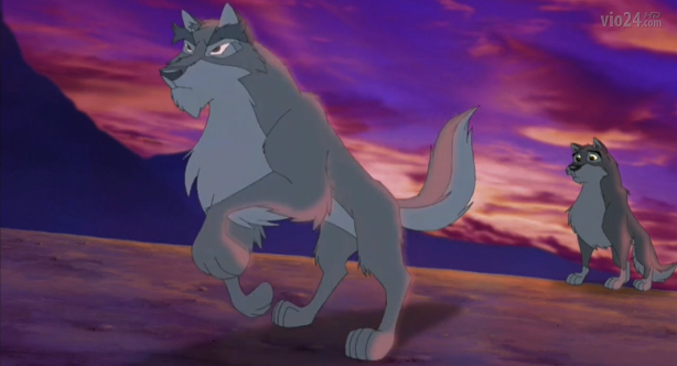 Wolf