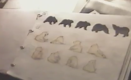 Bear