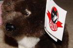produits dérivés balto