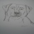 Balto-anime
