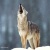 Balto_Luver