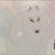 Kira_wolf