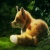 Moro_thewolf