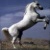 SilverMane