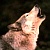 WolfNut
