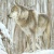 alaska21