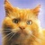 Andrehater1