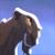 Anonymat
