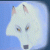 Balto4949