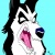 balto-fan306