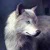 The Epic Wuffle