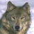 Wolflover154