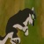 FanTheWolf