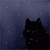 Felidae1
