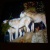 greatwolf816