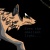 HeyitsNightfur