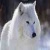 ice wolf (galaxy)