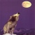 lunawhisper334