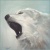 Mystic_Wolf19