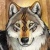 Night_wolf987