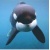 Orca Rider