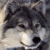 platinumwolf