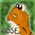 Rosepower13