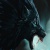 Shadow Night Wolf