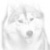 wolfhound