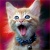 Stunner Cat
